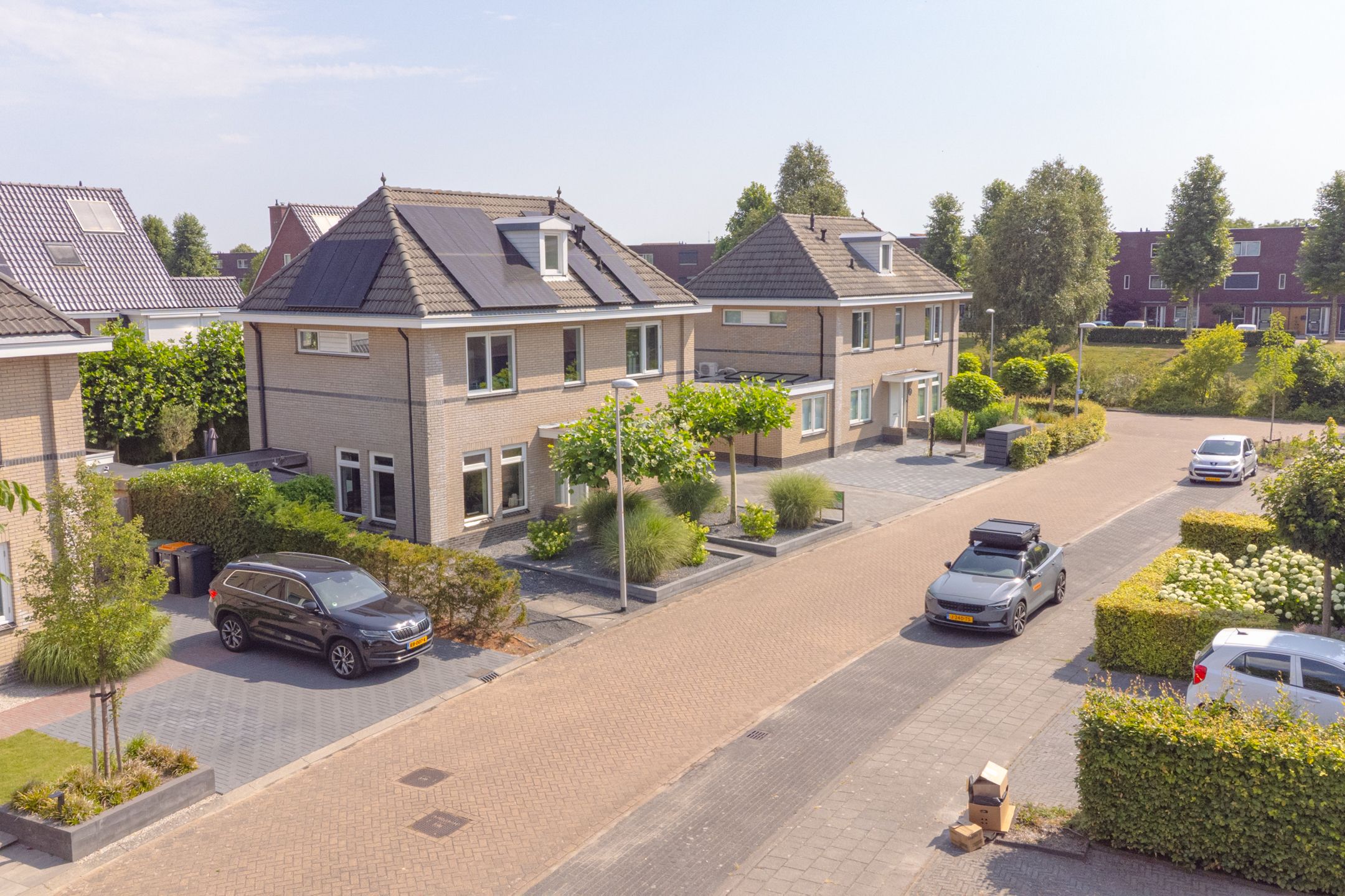 Foto 99 van Meerval 4