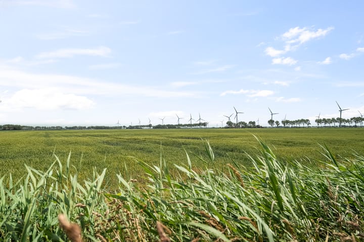 Foto 37 van Ploeg 30