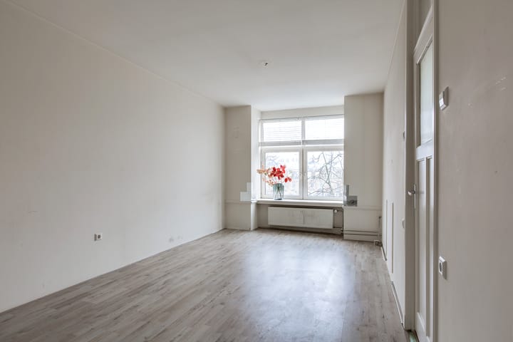 Foto 9 van Bas Jungeriusstraat 244-C02