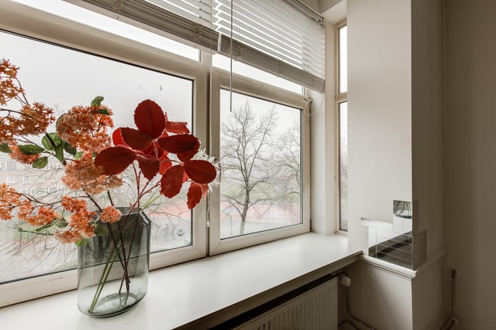 Foto 10 van Bas Jungeriusstraat 244-C02