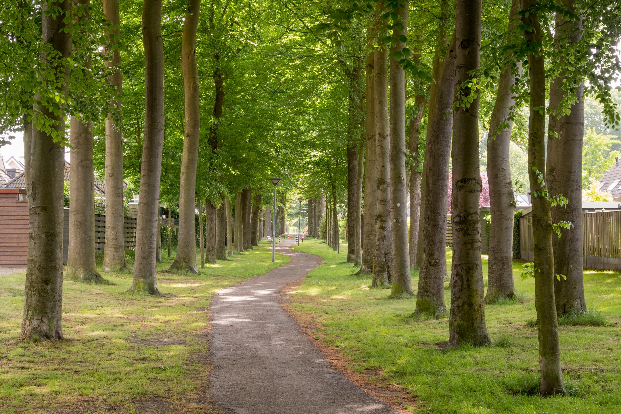 Foto 42 van Hoofdlaan 4