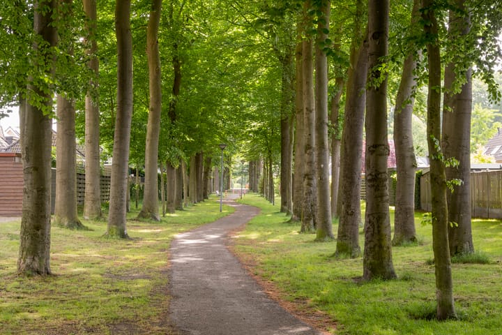 Foto 42 van Hoofdlaan 4