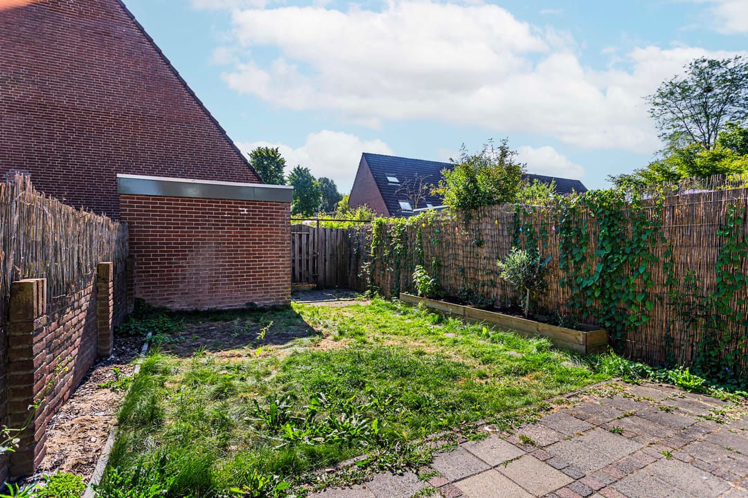 Foto 13 van Zebraweide 16