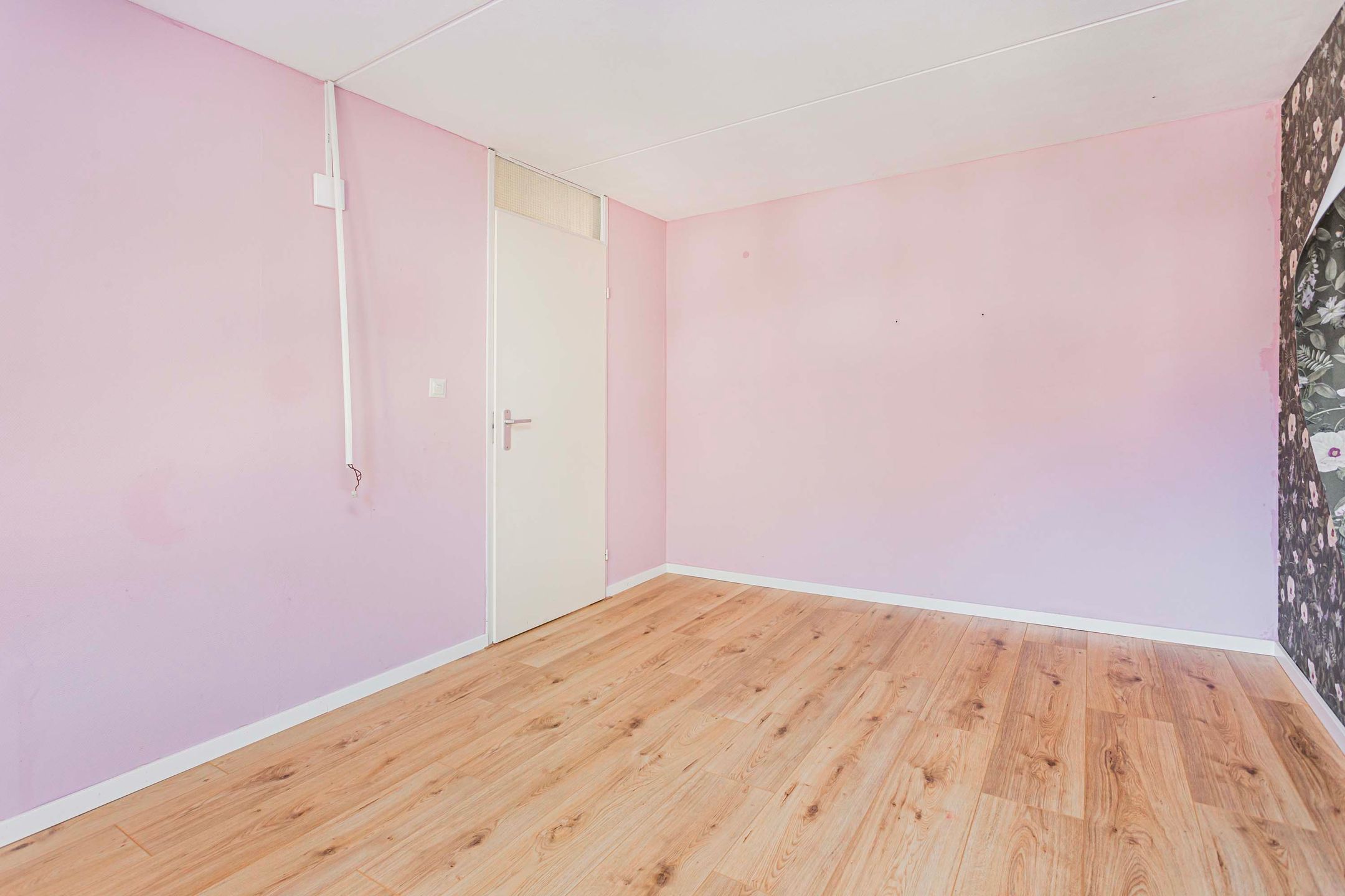 Foto 21 van Zebraweide 16