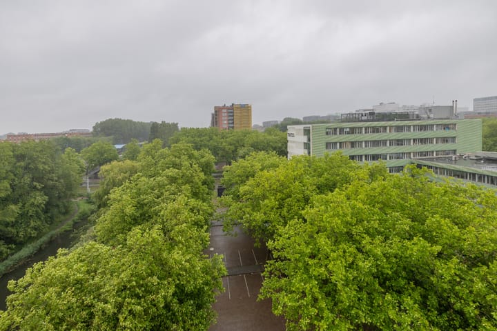 Foto 7 van Maassluisstraat 42