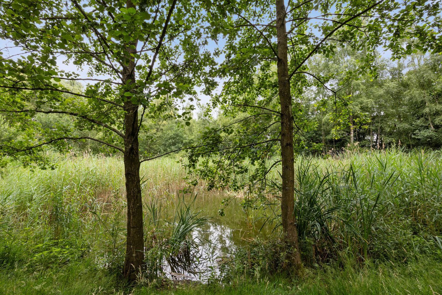 Foto 34 van Hudsonring 59