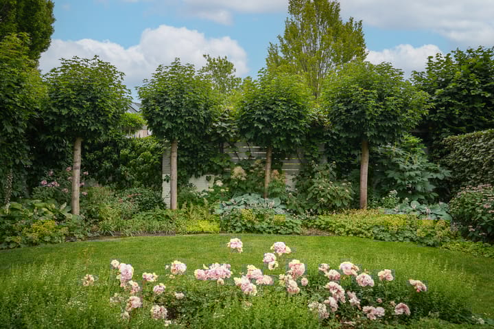 Photo 35 of Theaterhof 1