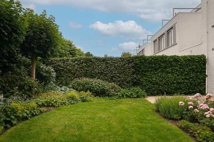 Photo 37 of Theaterhof 1