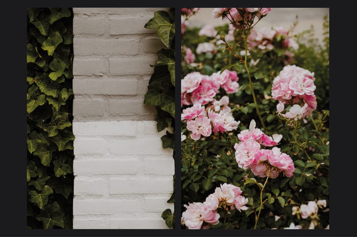 Photo 39 of Theaterhof 1