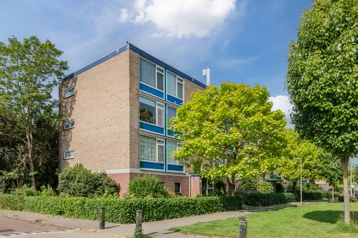 Foto 6 van Vrije Nesse 39