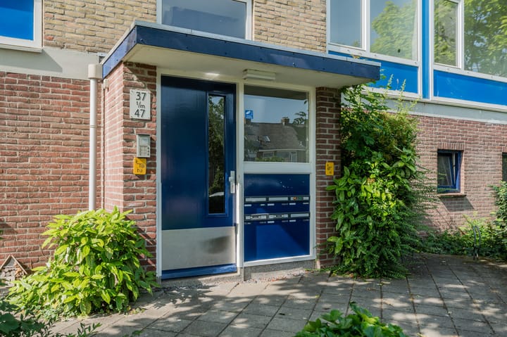 Foto 8 van Vrije Nesse 39