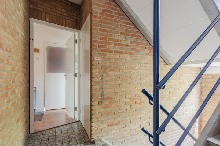 Foto 9 van Vrije Nesse 39