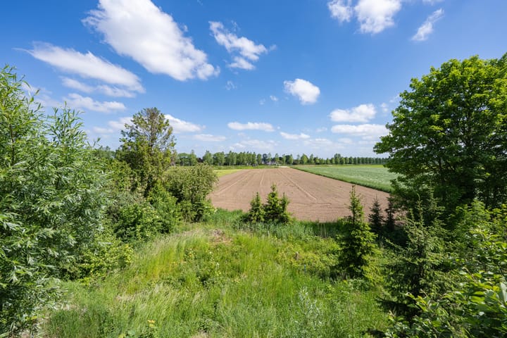 Photo 17 of Oude Kerkstraat
