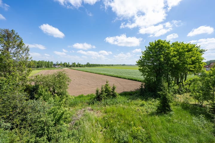 Photo 16 of Oude Kerkstraat
