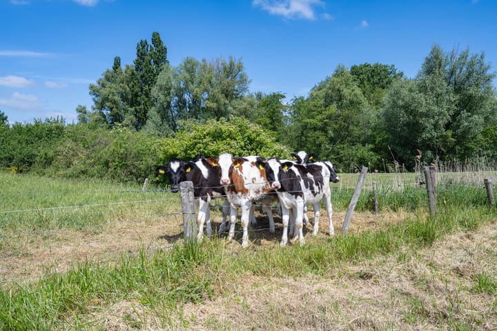 Photo 21 of Oude Kerkstraat