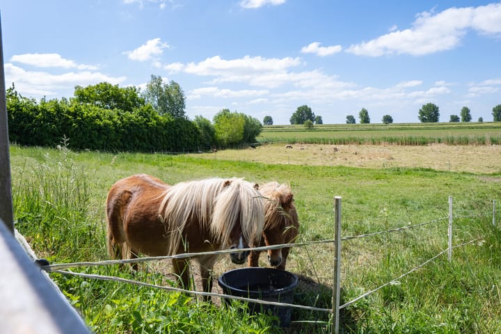 Photo 19 of Oude Kerkstraat
