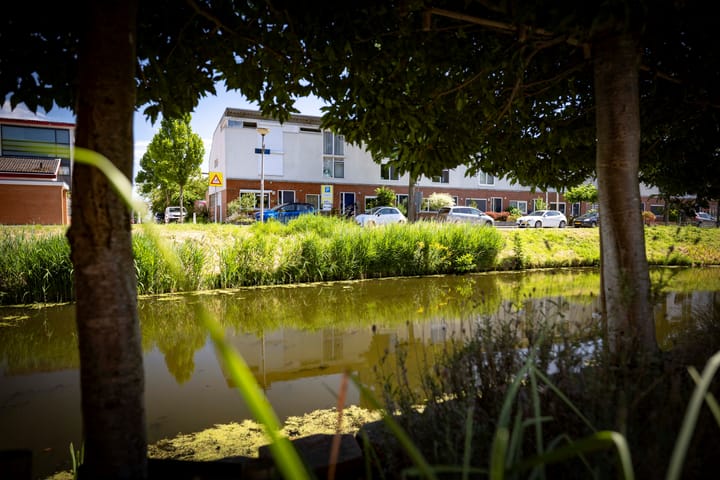 Foto 41 van Stoevenbeld 28