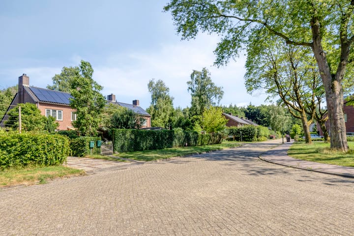 Photo 6 of Sleedoorn 21