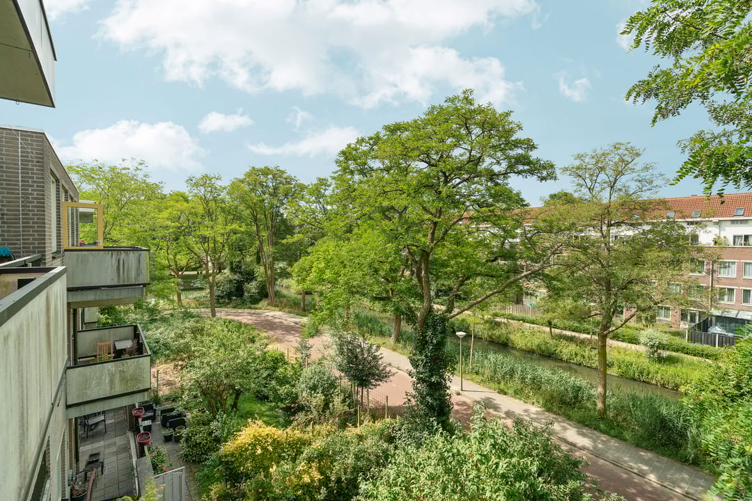 Foto 11 van Wamelplein 67