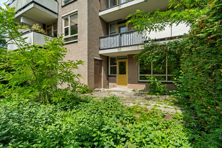 Foto 8 van Wamelplein 81