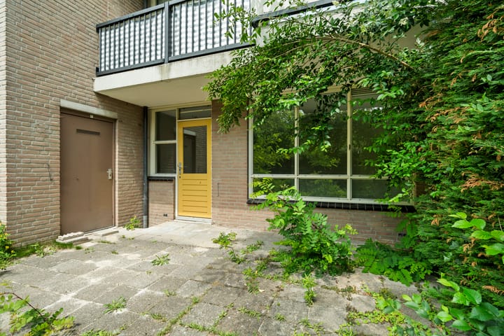 Foto 9 van Wamelplein 81