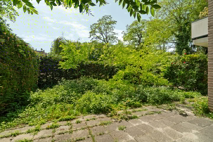 Foto 10 van Wamelplein 81