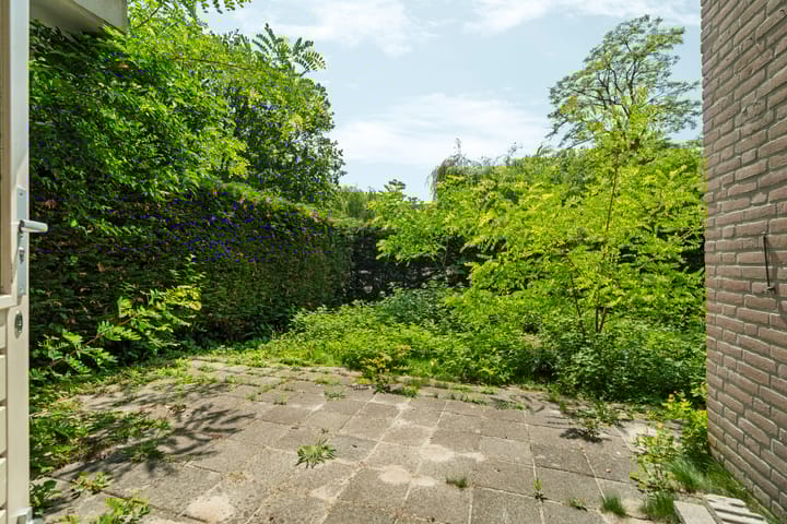 Foto 11 van Wamelplein 81