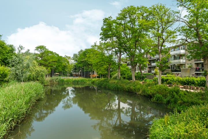 Foto 26 van Wamelplein 81