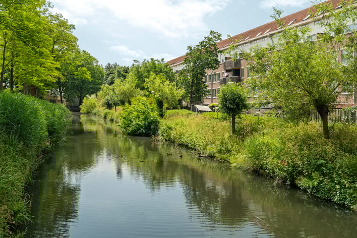 Foto 27 van Wamelplein 81