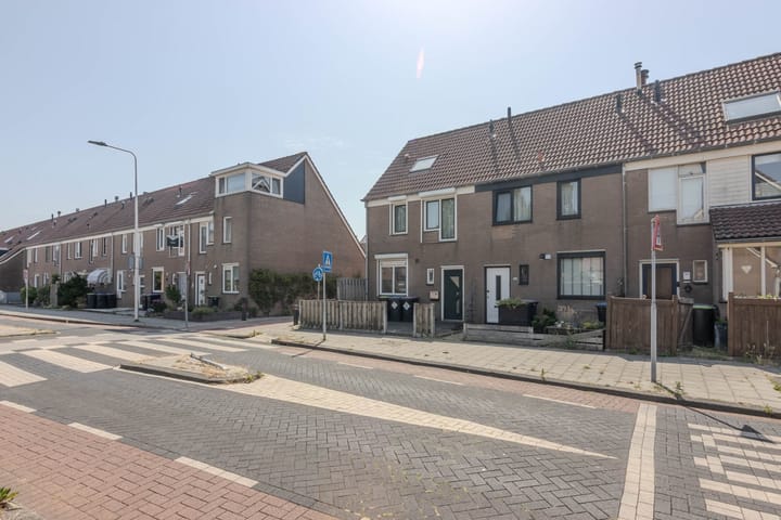 Foto 6 van Buntgras 101