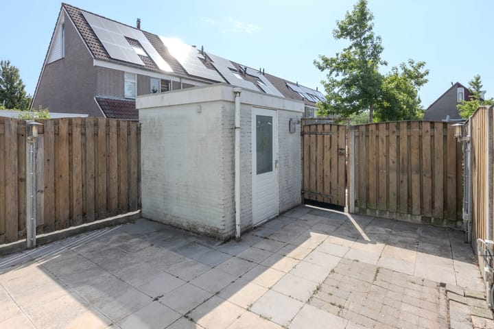 Foto 12 van Buntgras 101