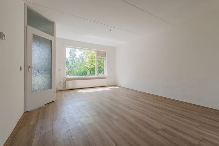 Foto 2 van Grutto 12