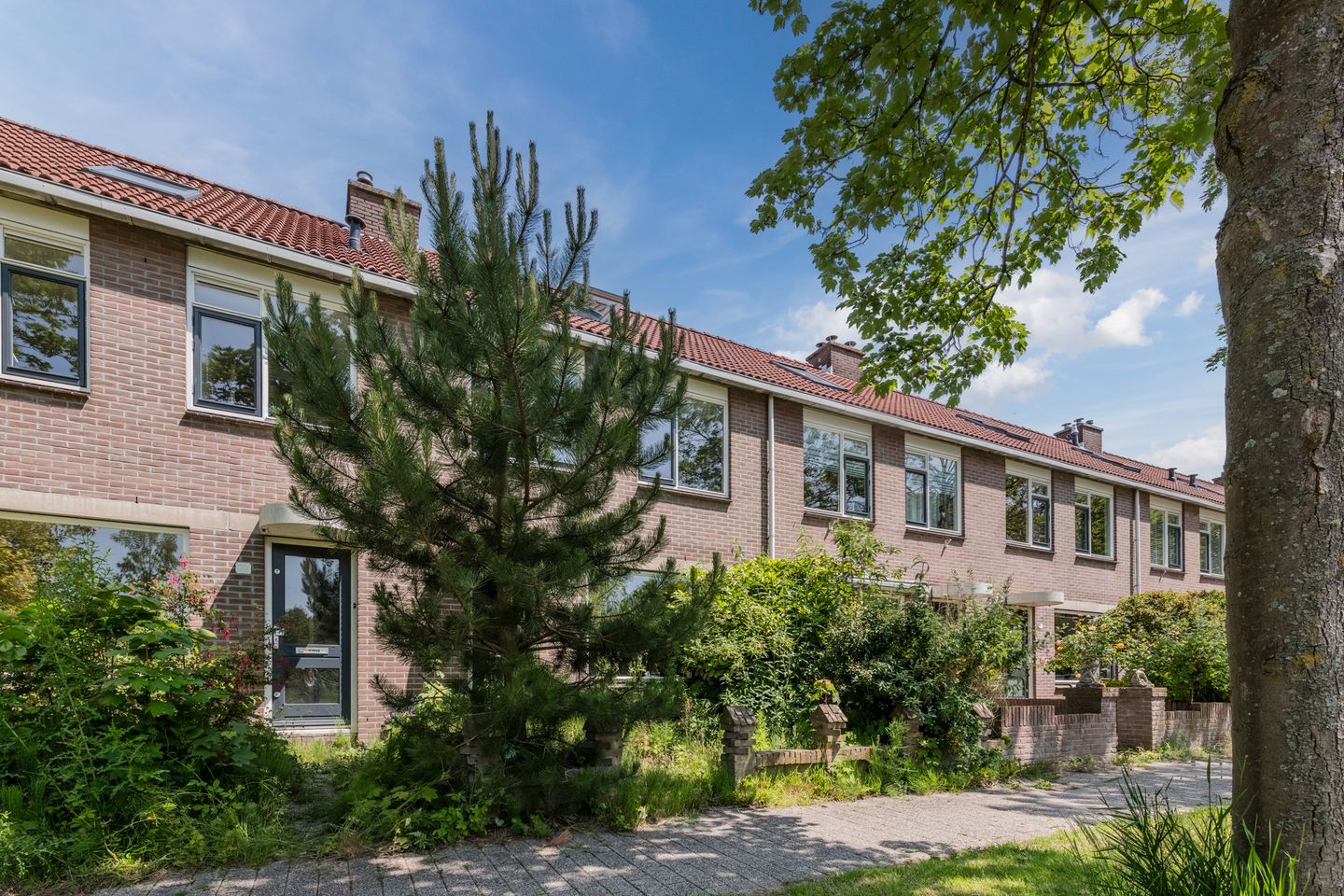 Foto 5 van Grutto 12