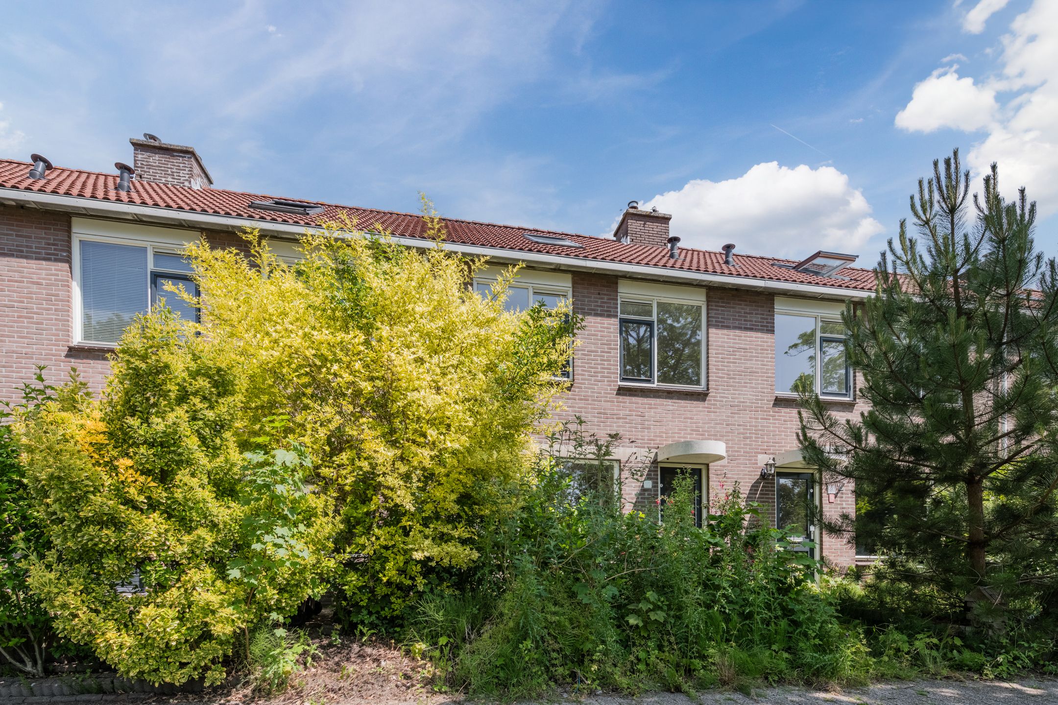 Foto 6 van Grutto 12