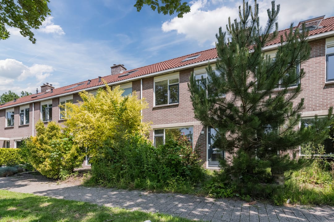 Foto 7 van Grutto 12