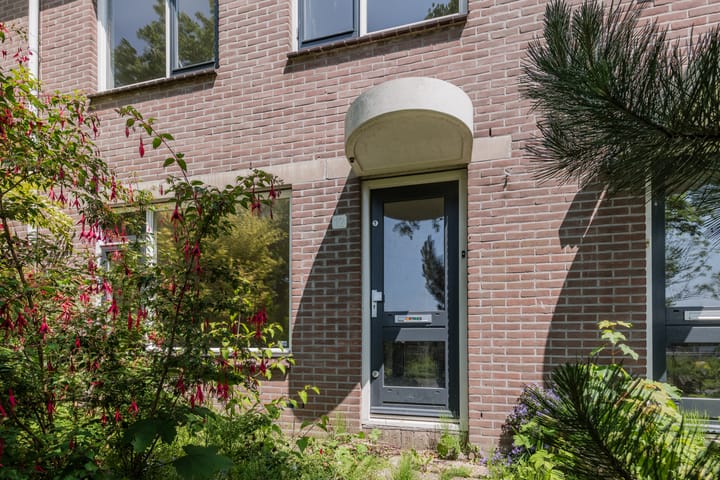 Foto 8 van Grutto 12