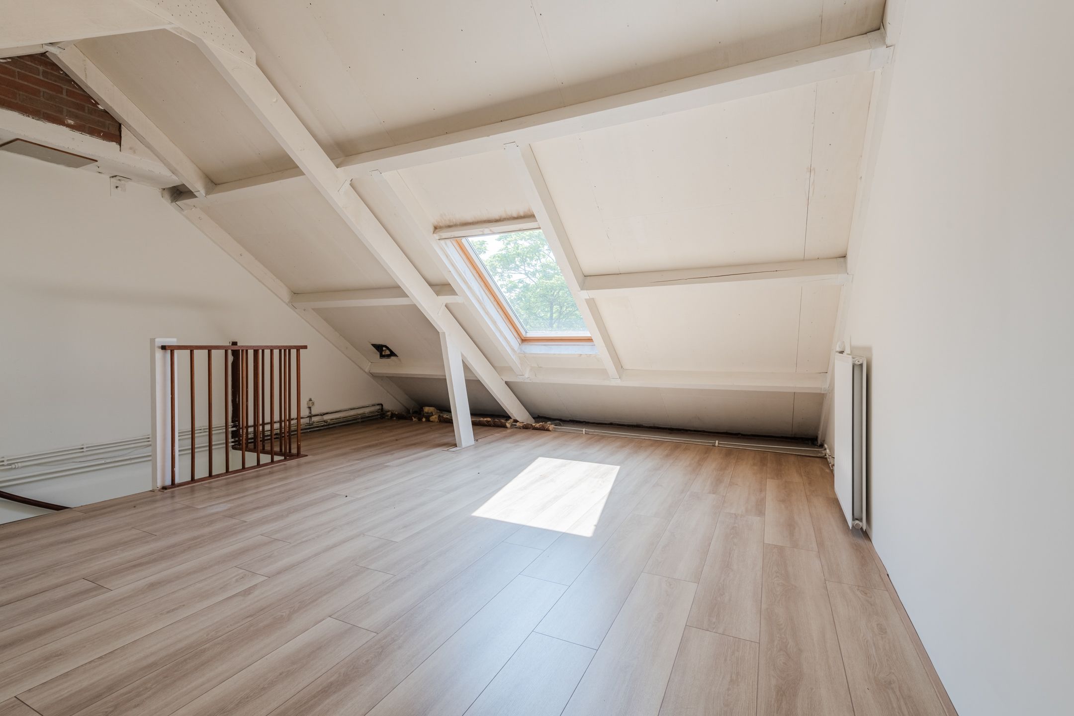 Foto 33 van Grutto 12