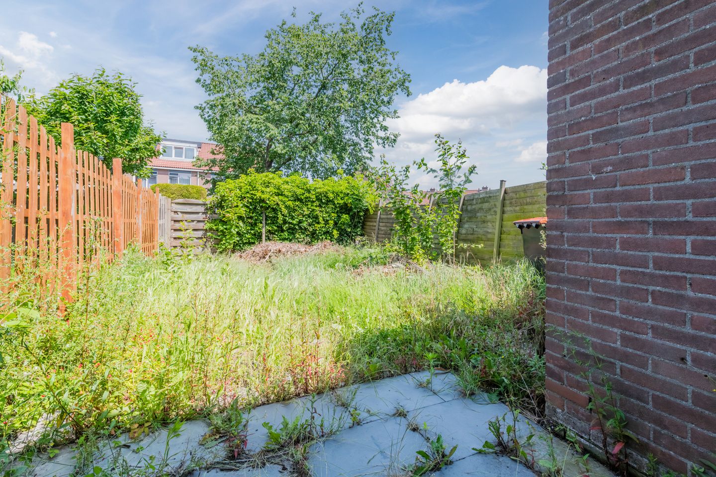 Foto 40 van Grutto 12