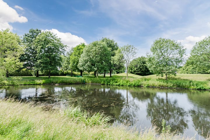 Foto 31 van Cannenburg 79