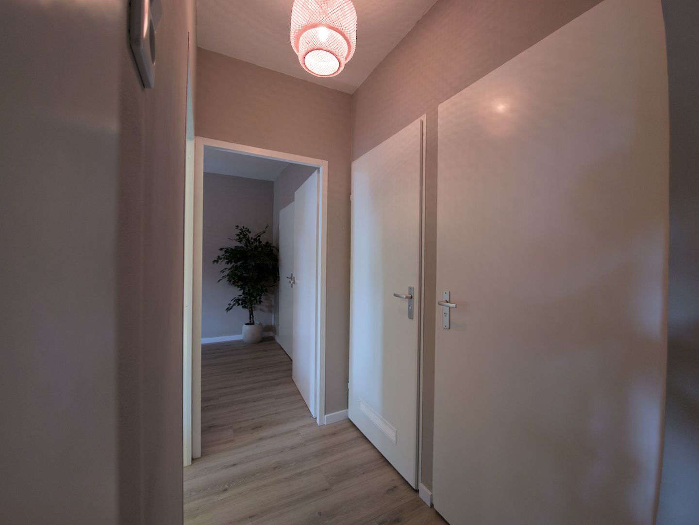 Foto 19 van Malvert 6560