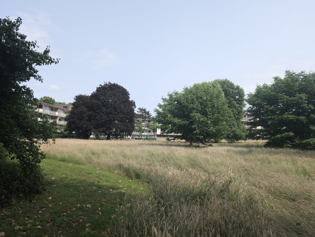 Foto 38 van Malvert 6560