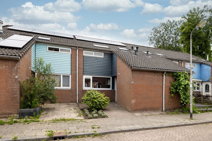 undefined main image