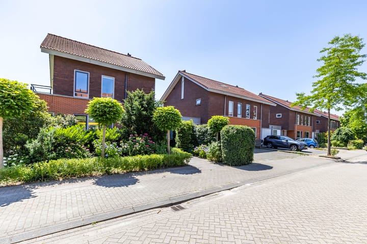 Photo 8 of Frouwesân 137