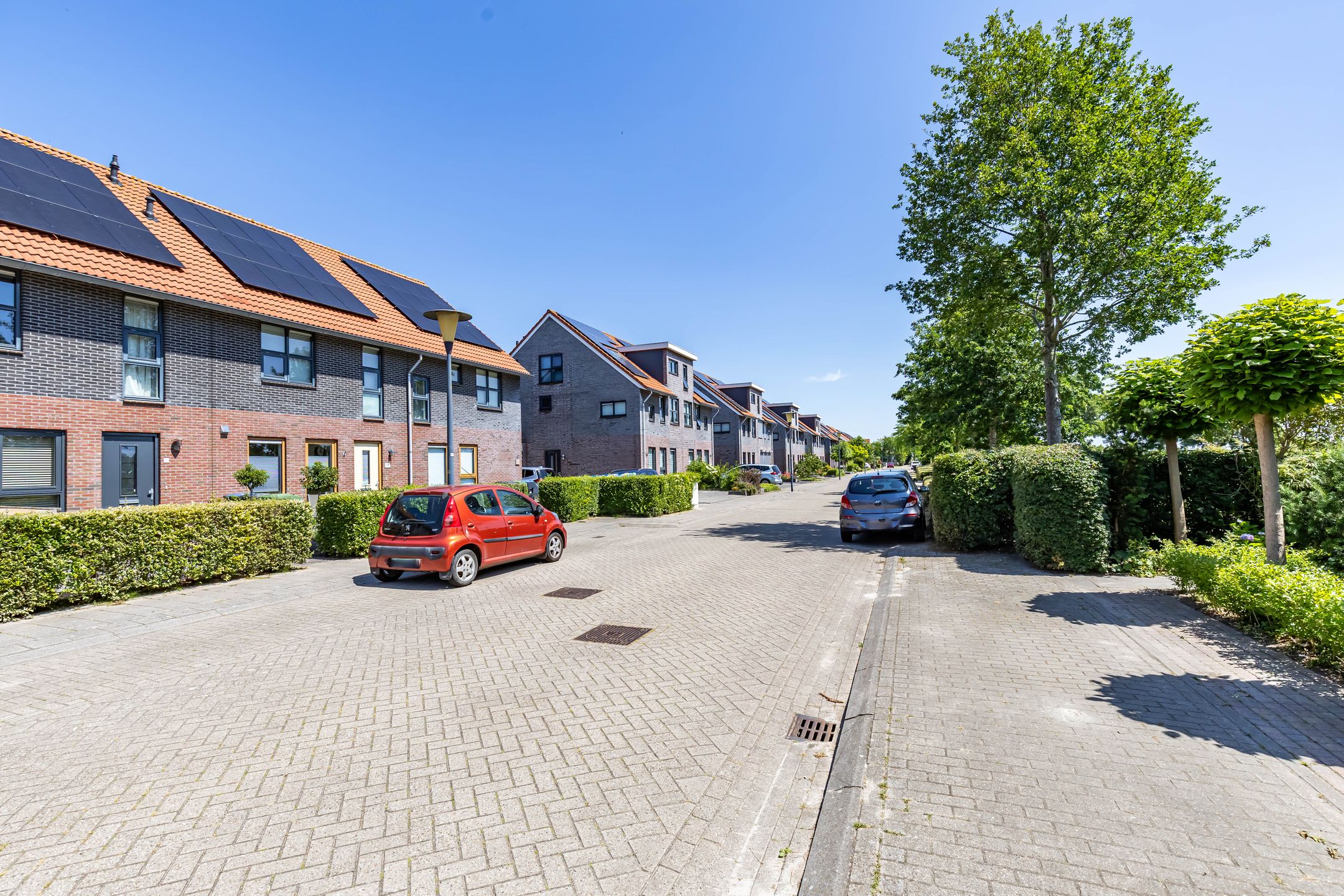 Foto 9 van Frouwesân 137