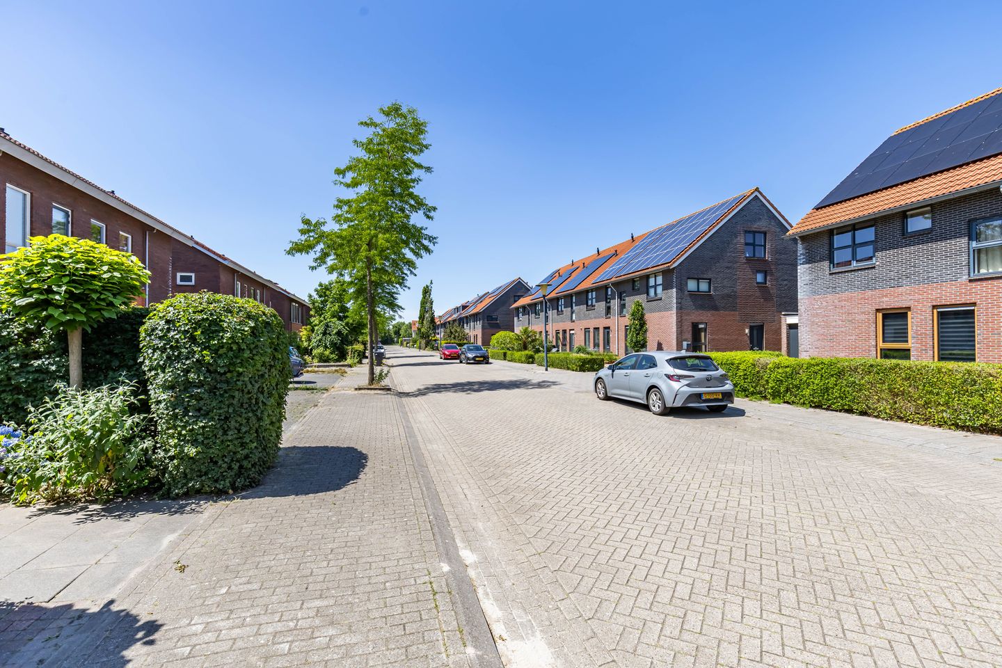 Foto 10 van Frouwesân 137