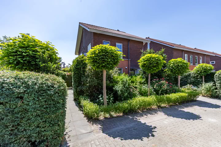 Photo 11 of Frouwesân 137