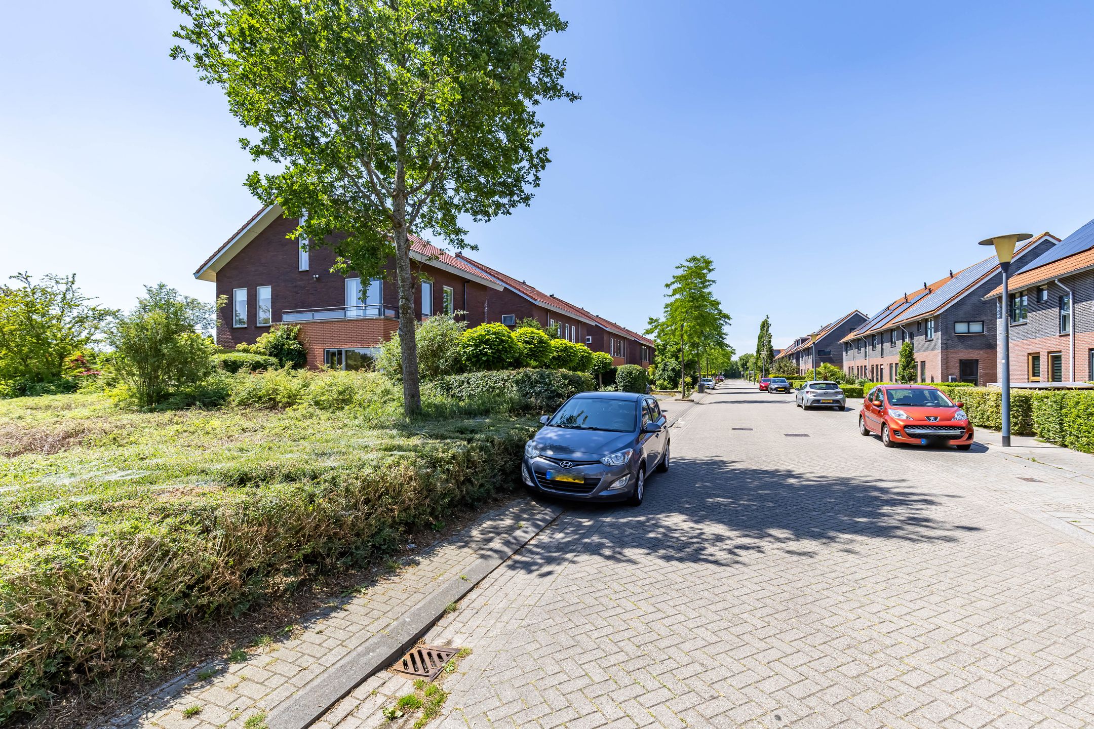 Foto 12 van Frouwesân 137