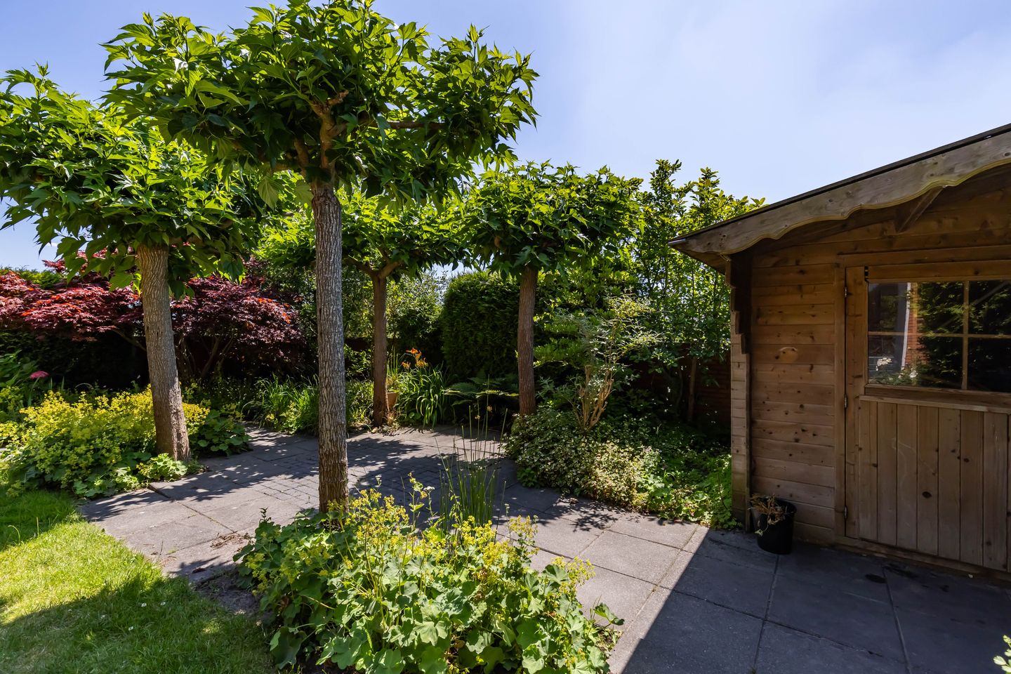 Foto 40 van Frouwesân 137