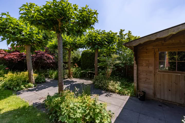 Photo 40 of Frouwesân 137