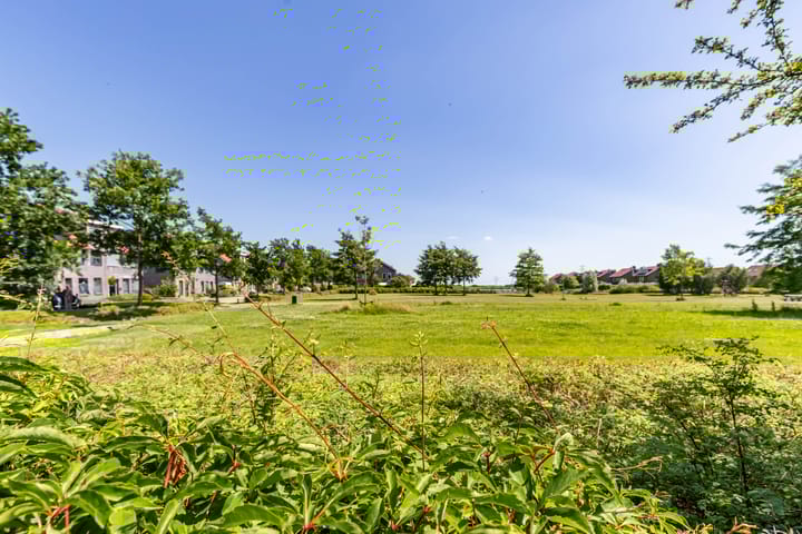 Photo 45 of Frouwesân 137